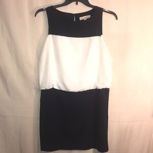 Ann Taylor Loft Navy Blue and White Dress Size 8